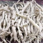 Erectile dysfunction affects countless men globally, causing significant distress that impacts sexual performance, personal confidence, and the overall quality of their daily intimate lives. This condition often arises from a complex combination of physical health issues like heart disease and psychological factors such as chronic stress or performance anxiety. Consequently, many individuals are now exploring ancient natural remedies like Ashwagandha to support their sexual health alongside conventional medical treatments recommended by their doctors. The Ancient Root of Modern Vitality Ashwagandha, also known scientifically as Withania somnifera, has been a respected staple of traditional Ayurvedic medicine for centuries to enhance energy and longevity. This powerful adaptogen is available in various convenient forms, including potent powders and concentrated capsules, making it accessible for modern men seeking improved physical wellbeing. Furthermore, recent clinical research highlights that participants taking 300 mg of ashwagandha root extract twice daily experienced significant improvements in their testosterone and sexual function. How Ashwagandha Targets the Root Causes of ED This respected herb primarily supports the body by calming the nervous system and promoting a deep sense of relaxation which effectively improves performance-related confidence. Additionally, low testosterone levels often lead to a reduced libido, but ashwagandha may help stimulate natural hormone production to restore healthy reproductive function and mood. By enhancing overall stamina and reducing chronic fatigue, this natural supplement provides the essential energy required for maintaining healthy and satisfying sexual performance levels. Analysis: The Shift Toward Integrative Sexual Health Modern medicine is increasingly acknowledging the vital link between psychological stress and physical sexual dysfunction, allowing for more comprehensive and effective treatment strategies. Because Ashwagandha addresses both the hormonal and emotional aspects of sexual health, it represents a unique and holistic alternative to traditional pharmaceutical interventions for many men. Ultimately, incorporating science-backed natural extracts into a daily routine could offer a safer path toward restoring confidence and improving overall quality of life. Q&A: Navigating Natural Support for ED Q: Can I use Ashwagandha as a standalone treatment for severe erectile dysfunction? A: While ashwagandha provides significant support for energy and hormones, you should always consult a medical professional to address any underlying physical health conditions. Q: How long does it take to see results when taking Ashwagandha root extract? A: Research suggests that consistent supplementation over an eight-week period is necessary to experience notable enhancements in sexual function and overall vitality. FAQ: Common Questions About Ashwagandha and Men's Health Is Ashwagandha safe to take with other medications? You must discuss any new herbal supplements with your healthcare provider to ensure they do not interfere with treatments for heart disease or diabetes. What is the recommended daily dosage for sexual health? Clinical studies often utilize a dosage of 300 mg taken twice daily to achieve the best results for hormone balance and stress reduction. Does Ashwagandha only help with sexual performance? No, this versatile herb also supports your immune function, improves the quality of your sleep, and reduces general anxiety for better mental health. Can psychological stress alone cause erectile dysfunction? Yes, stress and anxiety are major psychological contributors to ED, as they can disrupt the nervous system’s ability to initiate a healthy sexual response
