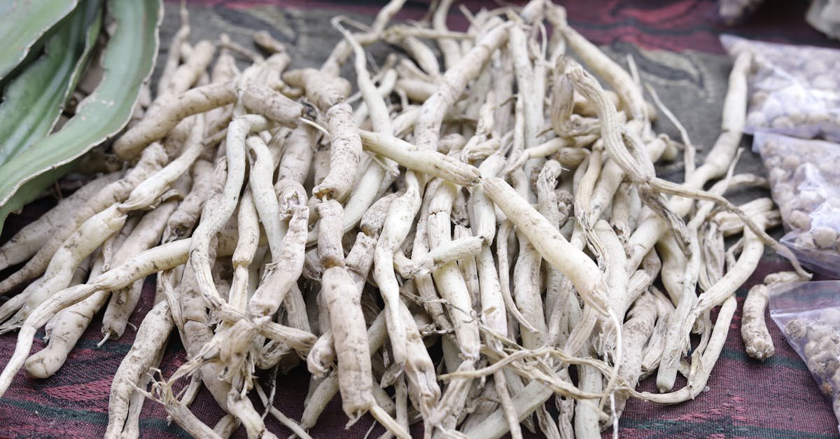 Erectile dysfunction affects countless men globally, causing significant distress that impacts sexual performance, personal confidence, and the overall quality of their daily intimate lives. This condition often arises from a complex combination of physical health issues like heart disease and psychological factors such as chronic stress or performance anxiety. Consequently, many individuals are now exploring ancient natural remedies like Ashwagandha to support their sexual health alongside conventional medical treatments recommended by their doctors. The Ancient Root of Modern Vitality Ashwagandha, also known scientifically as Withania somnifera, has been a respected staple of traditional Ayurvedic medicine for centuries to enhance energy and longevity. This powerful adaptogen is available in various convenient forms, including potent powders and concentrated capsules, making it accessible for modern men seeking improved physical wellbeing. Furthermore, recent clinical research highlights that participants taking 300 mg of ashwagandha root extract twice daily experienced significant improvements in their testosterone and sexual function. How Ashwagandha Targets the Root Causes of ED This respected herb primarily supports the body by calming the nervous system and promoting a deep sense of relaxation which effectively improves performance-related confidence. Additionally, low testosterone levels often lead to a reduced libido, but ashwagandha may help stimulate natural hormone production to restore healthy reproductive function and mood. By enhancing overall stamina and reducing chronic fatigue, this natural supplement provides the essential energy required for maintaining healthy and satisfying sexual performance levels. Analysis: The Shift Toward Integrative Sexual Health Modern medicine is increasingly acknowledging the vital link between psychological stress and physical sexual dysfunction, allowing for more comprehensive and effective treatment strategies. Because Ashwagandha addresses both the hormonal and emotional aspects of sexual health, it represents a unique and holistic alternative to traditional pharmaceutical interventions for many men. Ultimately, incorporating science-backed natural extracts into a daily routine could offer a safer path toward restoring confidence and improving overall quality of life. Q&A: Navigating Natural Support for ED Q: Can I use Ashwagandha as a standalone treatment for severe erectile dysfunction? A: While ashwagandha provides significant support for energy and hormones, you should always consult a medical professional to address any underlying physical health conditions. Q: How long does it take to see results when taking Ashwagandha root extract? A: Research suggests that consistent supplementation over an eight-week period is necessary to experience notable enhancements in sexual function and overall vitality. FAQ: Common Questions About Ashwagandha and Men's Health Is Ashwagandha safe to take with other medications? You must discuss any new herbal supplements with your healthcare provider to ensure they do not interfere with treatments for heart disease or diabetes. What is the recommended daily dosage for sexual health? Clinical studies often utilize a dosage of 300 mg taken twice daily to achieve the best results for hormone balance and stress reduction. Does Ashwagandha only help with sexual performance? No, this versatile herb also supports your immune function, improves the quality of your sleep, and reduces general anxiety for better mental health. Can psychological stress alone cause erectile dysfunction? Yes, stress and anxiety are major psychological contributors to ED, as they can disrupt the nervous system’s ability to initiate a healthy sexual response