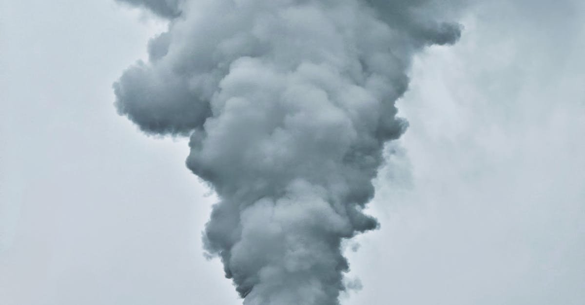 Air pollution has long been linked with heart disease and lung disorders, but new evidence reveals it accelerates Alzheimer’s progression significantly.