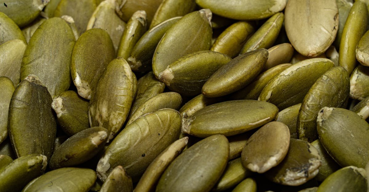 : Discover how pumpkin seeds boost men's health by supporting prostate function, enhancing fertility, and providing high-quality plant-based protein for muscle growth today.