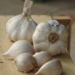 Discover how a bioactive compound in aged garlic extract improves muscle strength by activating a unique communication pathway between fat tissue and the brain