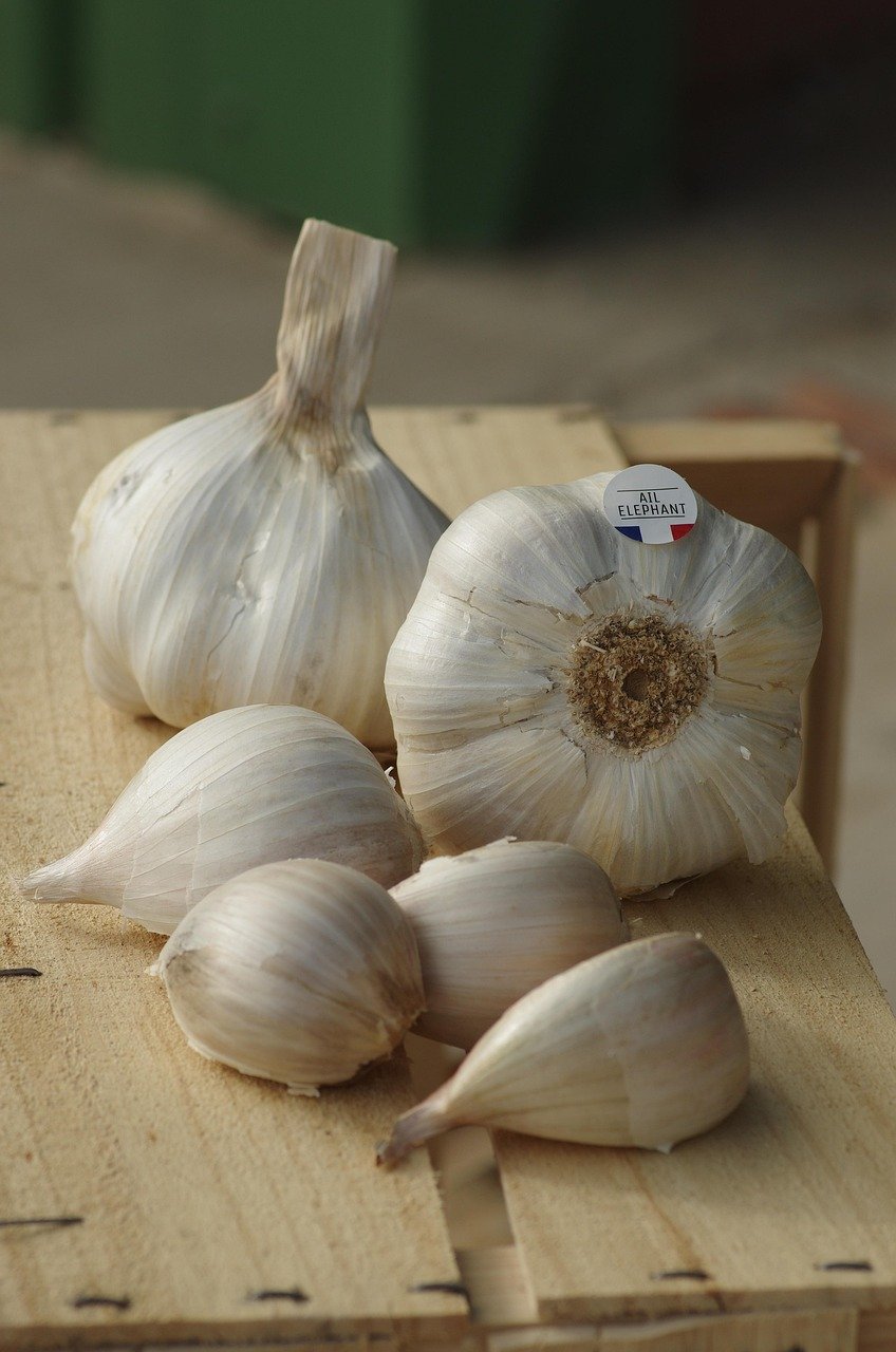 Discover how a bioactive compound in aged garlic extract improves muscle strength by activating a unique communication pathway between fat tissue and the brain