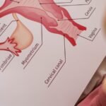 Explore the impact of hysterectomy on women's health, covering different surgical types, immediate side effects like early menopause, and long-term risks such as heart disease.