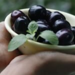 Discover the incredible health benefits of Jamun, from diabetes management to radiant skin. Learn why this summer superfood is essential for your wellness routine today