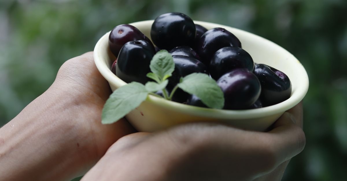Discover the incredible health benefits of Jamun, from diabetes management to radiant skin. Learn why this summer superfood is essential for your wellness routine today