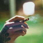 A massive Cambridge study involving 100 million people reveals that cannabis use increases stroke risk by 37 percent and identifies causal links for cocaine. Slug: cannabis-cocaine-amphetamine-stroke-risk-study