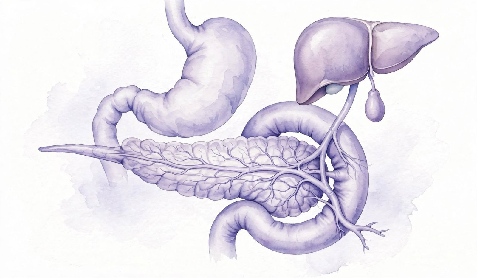 Pancreatic cancer called silent killer may show earliest signs in legs: unexplained pain, swelling, redness, warmth linked to deep vein thrombosis DVT clots.