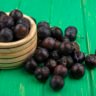 Jaboticaba dark-purple fruit Brazilian Atlantic Forest anthocyanins ellagitannins cyanidin-3-O-glucoside gut microbiota Bifidobacterium Lactobacillus SCFA metabolic health glucose IL-6.