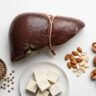 Scientists at University of Geneva discovered switching from vegetarian to vegan diet alters liver metabolism in mice within two days rapidly significantly consistently.